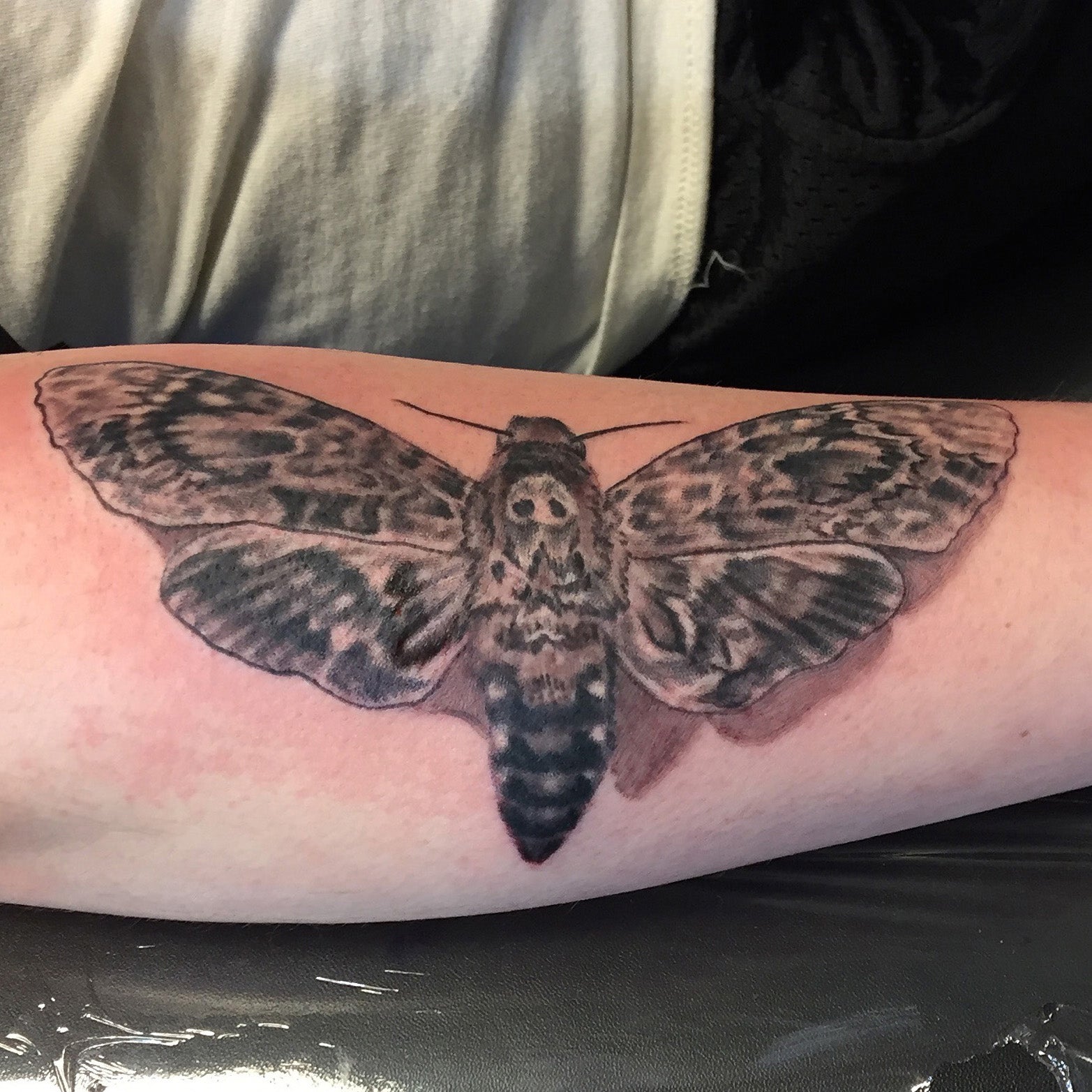 black and grey realisitc tattoo of a deaths head moth on a forarm