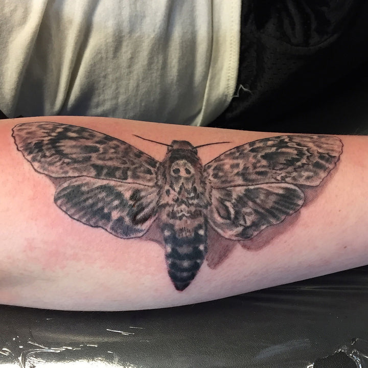 Realistic black and grey deaths head moth tattoo in a girls inner arm.