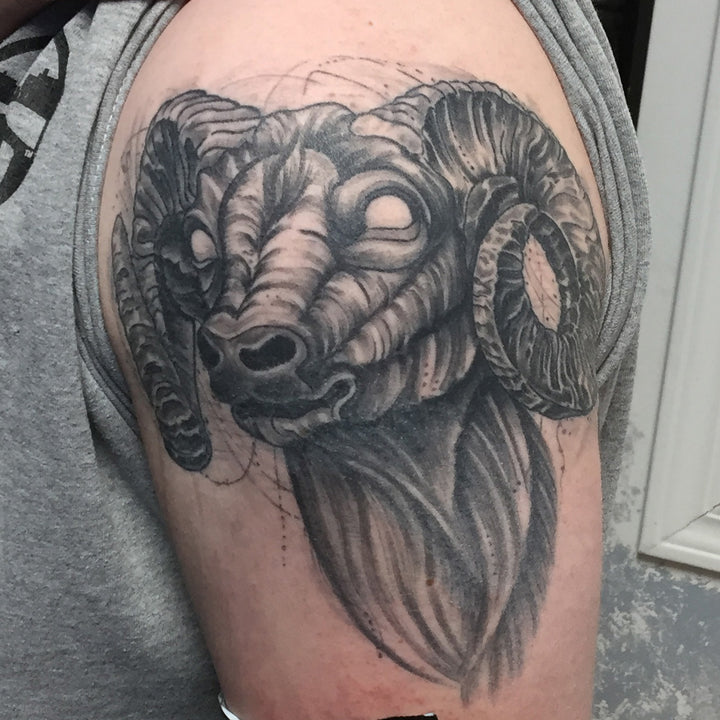 black and grey upper arm tattoo of a rams head